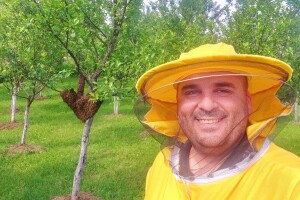 Advokat ukrotio roj pčela, prethodno "zaradio" 8 uboda