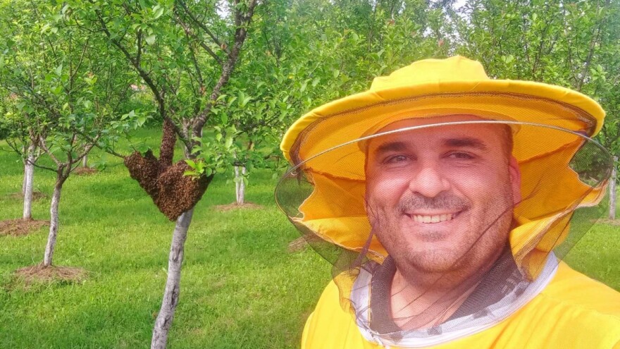 Advokat ukrotio roj pčela, prethodno "zaradio" 8 uboda