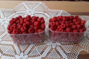 U BiH imamo dobru i zdravu sirovinu, a izvozimo je kao poluproizvod za nešto sitno para, što hoće reći valjamo balvane, a uvozimo čačkalice