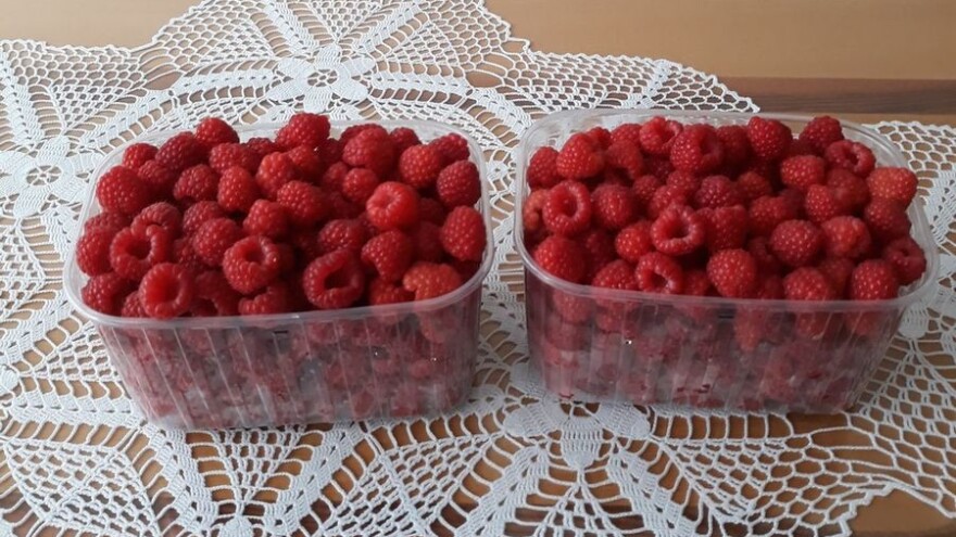 U BiH imamo dobru i zdravu sirovinu, a izvozimo je kao poluproizvod za nešto sitno para, što hoće reći valjamo balvane, a uvozimo čačkalice