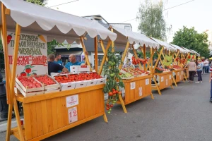 Paradajz fest od 21. do 23. jula u Lebanu