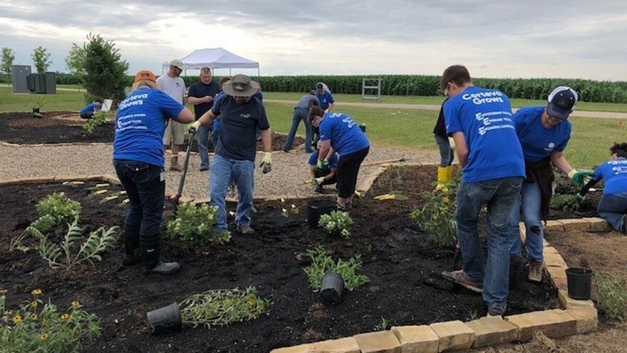 Stvaranje lidera na tržištima zaštite semena i useva