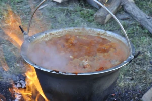 Bodrog fest 9. i 10. avgusta - ko će skuvati najbolji riblji paprikaš?