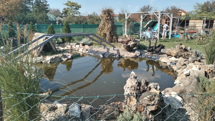 Domaćim životinjama u Silbašu društvo prave crni labudovi, valabi, piton i agama