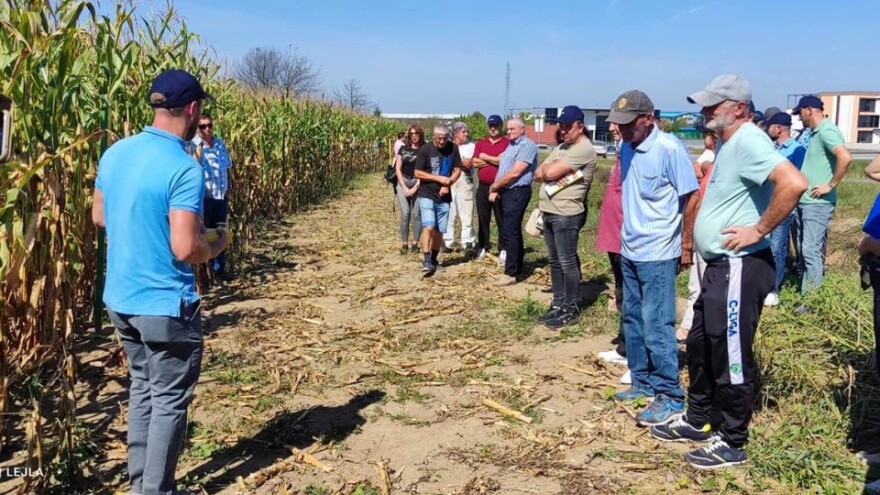 Cazin: Održani "Dani polja kukuruza"