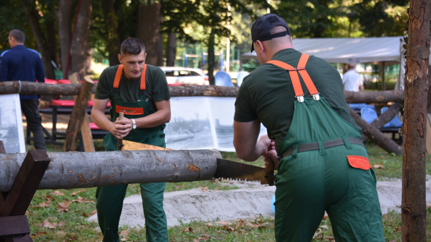 24. Dani slavonske šume uz natjecanje sjekača i sadnju hrasta lužnjaka