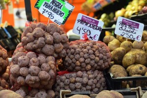 Najstariji krumpir u Europi uzgaja se na Tenerifima - cijena mu ide u nebo
