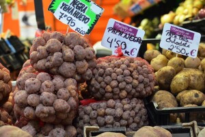Najstariji krompir u Evropi uzgaja se na Tenerifima - cijena mu ide u nebesa