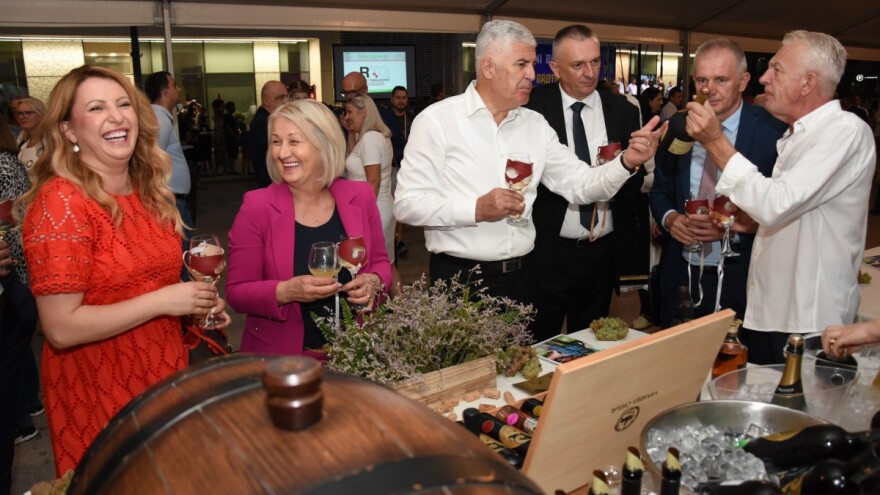 Dani berbe grožđa: Godina će ostati upamćena po štetama od plamenjače