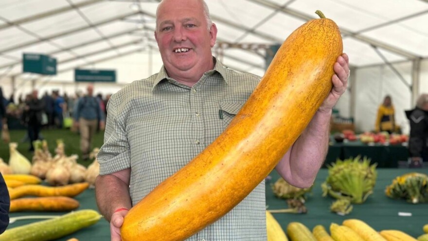 Koliko kilograma ima najteži krastavac na svijetu i ko ga je uzgojio?