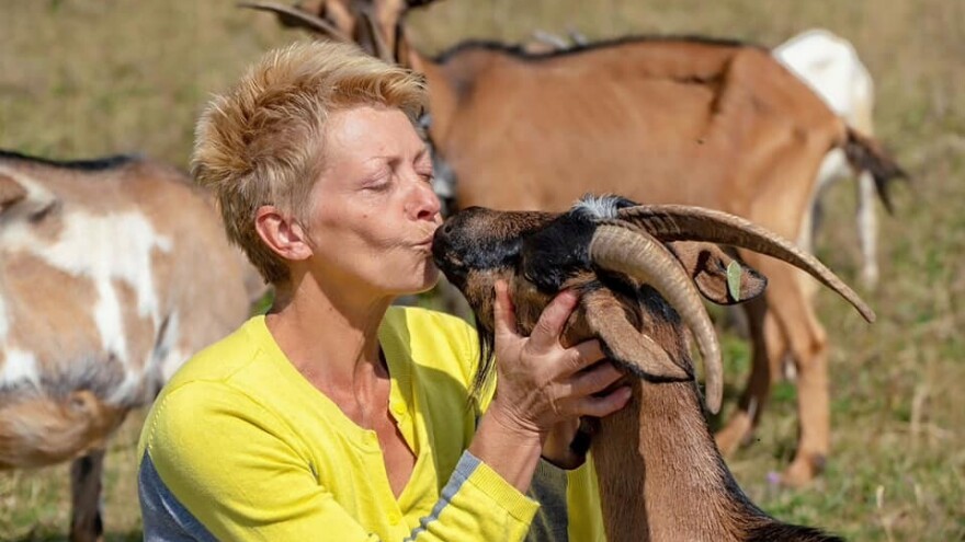 Od koze Taše do čitavog stada: "Da je neko rekao da ću se ovim baviti, rekla bih da je lud"