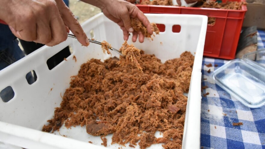 Otkazan Festival duvan čvaraka u Valjevu zbog afričke svinjske kuge