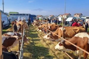 Zadruga "Gračanka" najavljuje tradicionalnu izložbu stočarstva
