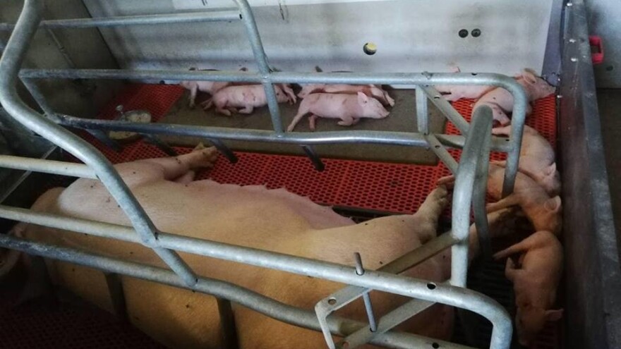 Obitelj Vrček: Dokaz smo da se od poljoprivrede može živjeti, ne postoje problemi - postoje izazovi