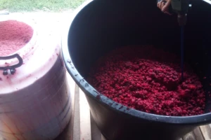 Rakija od maline rešenje za nisku cenu ploda?