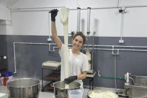 Da bi unapredili proizvodnju, prvo su smanjili broj krava