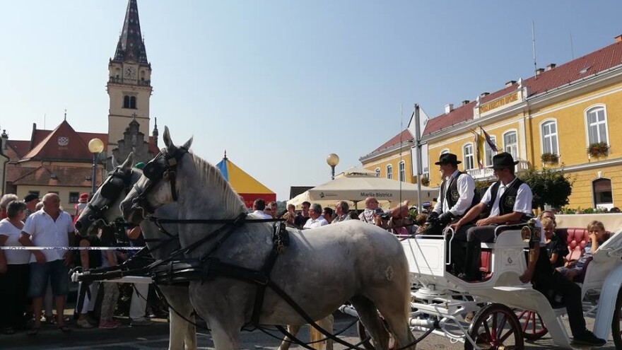 Vozočašće u Mariji Bistrici