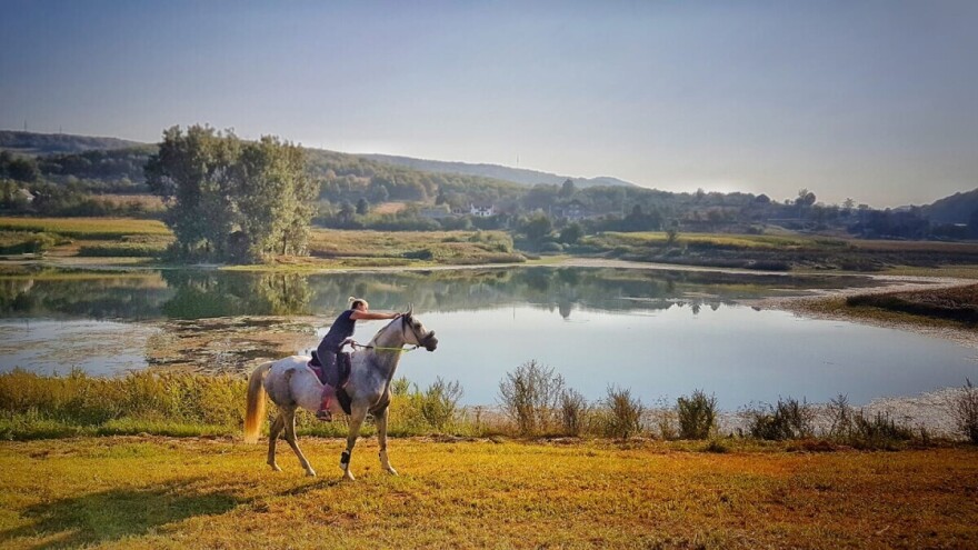 Ana Jergović - šaptačica konjima: Kada zajašim konja, nestaju sve misli, sve brige