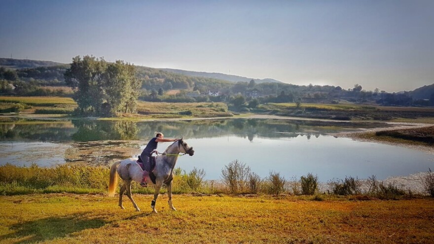 Ana Jergović, lička šaptačica konjima