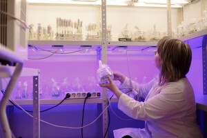 Agrobiznis kroz sadašnjost i budućnost: Dan karijera na Fakultetu agrobiotehničkih znanosti u Osijeku