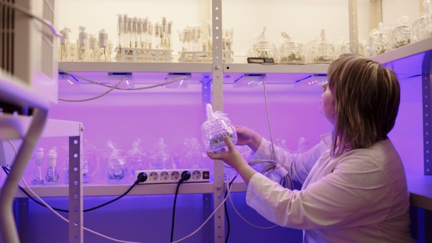 Agrobiznis kroz sadašnjost i budućnost: Dan karijera na Fakultetu agrobiotehničkih znanosti u Osijeku