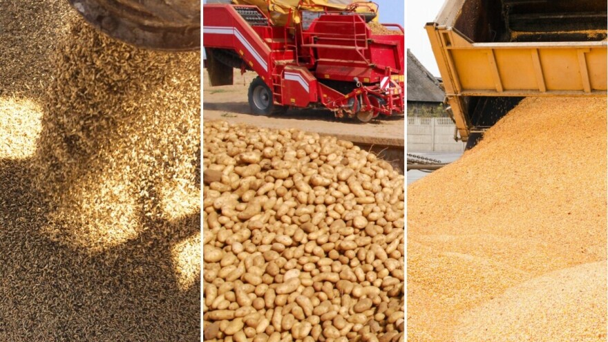 Ako laže koza, ne laže broj: Gdje je gro biljne proizvodnje najvažnijih usjeva u FBiH?