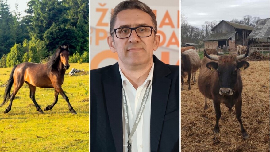 Prvi put u BiH: Autohtone pasmine u fokusu stručnjaka i uzgajivača
