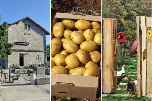 Zlato, bronza i dva posebna priznanja za ruralne projekte iz BiH