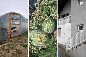 Tuga u brčanskim selima: Plastenici probijeni, lubenice razbijene, led satrao usjeve