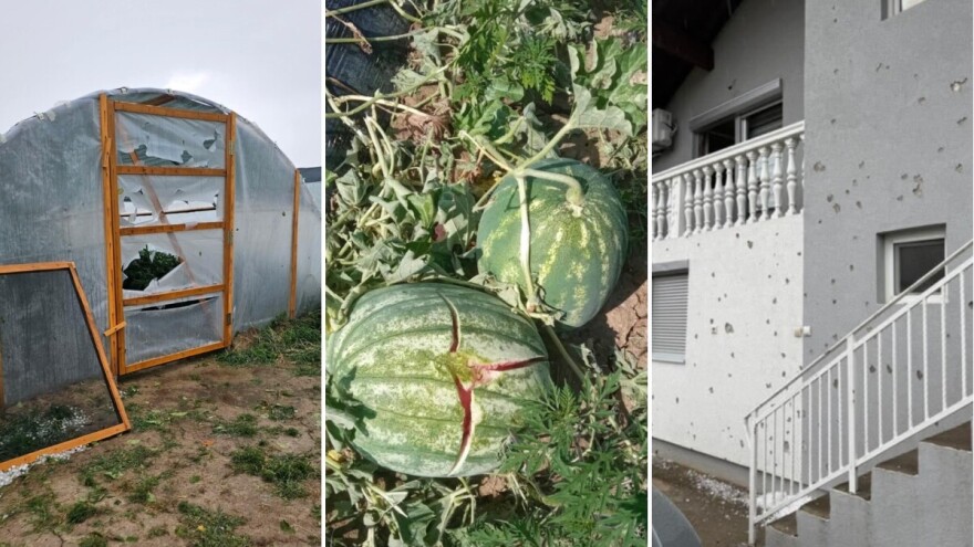 Tuga u brčanskim selima: Plastenici probijeni, lubenice razbijene, led satrao usjeve