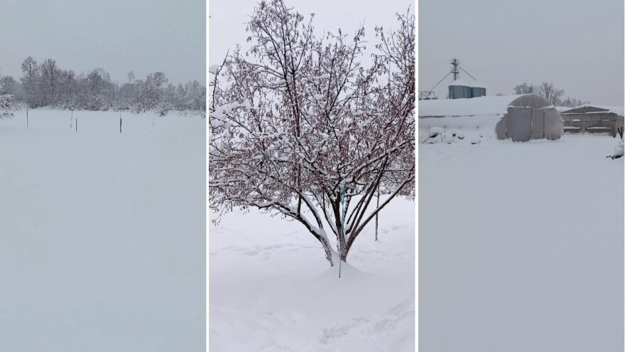 Zima kakva treba biti: Snijeg kao saveznik poljoprivrednika