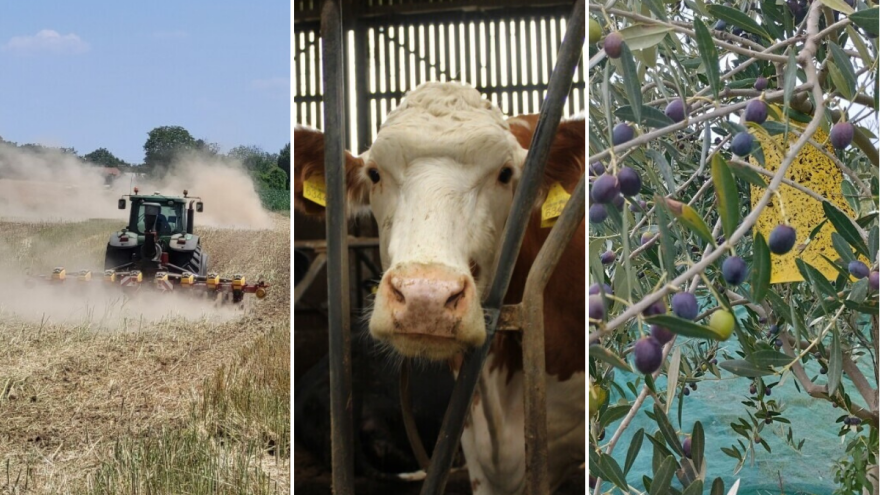 Voda došla do grla? Vrijeme je za restrukturiranje poljoprivrednog gospodarstva