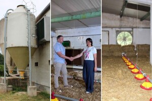 Iz prve ruke: Kako izgleda farma s rashladnim saćem tokom vrućina?