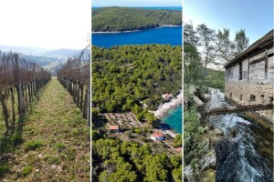 Prodaja imanja: Slavonski voćnjaci, mlin uz Koranu i maslinici na jugu