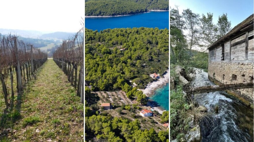 Prodaja imanja: Slavonski voćnjaci, mlin uz Koranu i maslinici na jugu