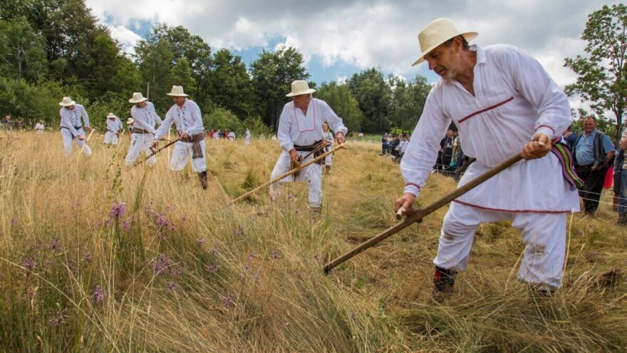 Kosidba na Rajcu od 12. do 14. jula: Ko će skinuti "zlatnu krunu" koscu iz BiH?