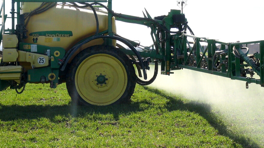 Koji su najčešći korovi u žitaricama i kako ih ukloniti?