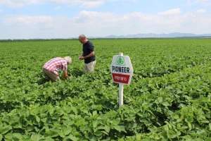 Al Dahra kupila Agricost - najveću ratarsku farmu u EU