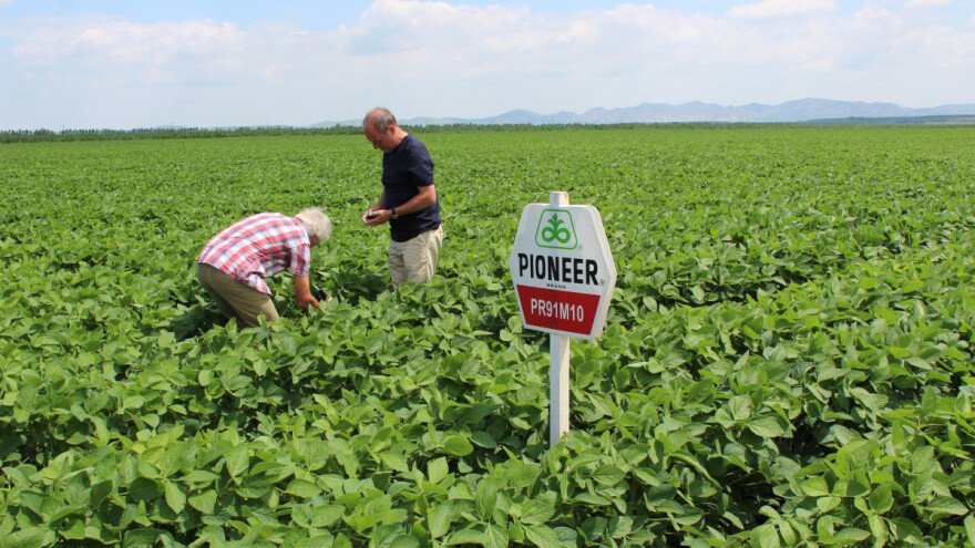 Al Dahra kupila Agricost - najveću ratarsku farmu u EU