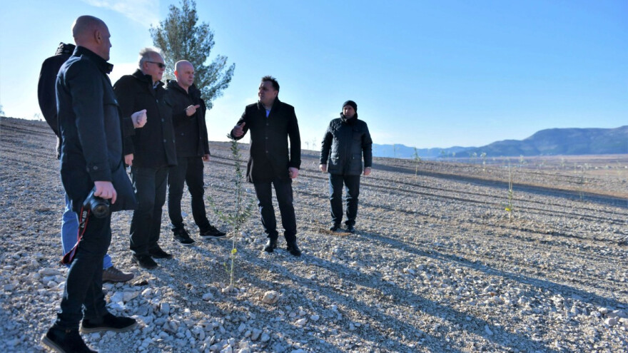 Raste proizvodnja masline, šipka, smokve i lješnjaka u Čapljini