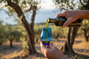 4. Manifestacija Maslinova ulja hrvatskog juga