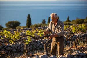 400 godina otočke priče obitelji Bire