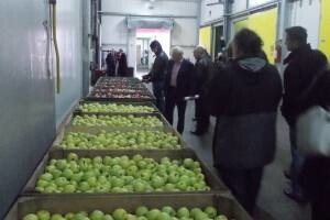 Proizvođači moraju biti i vlasnici hladnjača?!