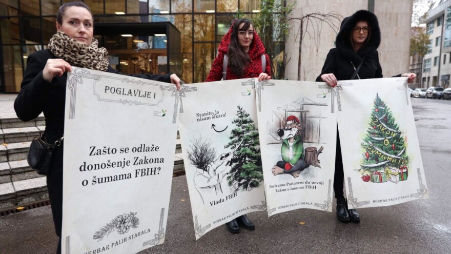 Mirni protesti: Usvojite zakon, šume su bez zaštite