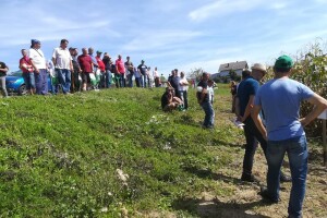 Bekir Dolić: Na 12 dunuma zasijali smo skoro 40 hibrida kukuruza, a najboljima se pokazali hibridi početka FAO grupe 400
