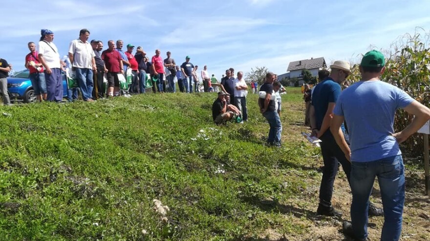 Bekir Dolić: Na 12 dunuma zasijali smo skoro 40 hibrida kukuruza, a najboljima se pokazali hibridi početka FAO grupe 400