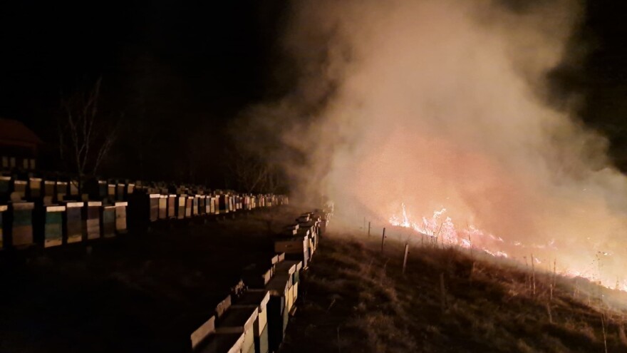 Pčelar uspeo da spasi košnice, ali mu izgorelo 200 mladih voćki