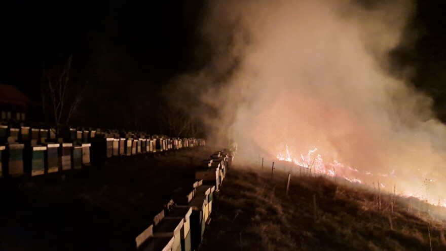 Pčelar uspio spasiti košnice, požar spalio 200 mladih voćki