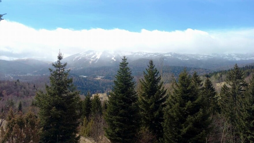 Više od sedam miliona KM za projekte šumarstva u KS