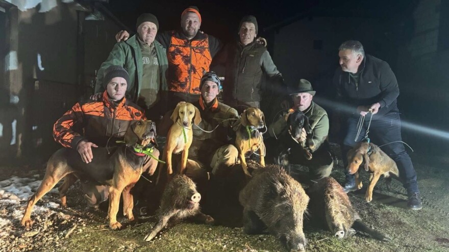 Jednim metkom dvoje prasadi, s drugim opaljenim pao i vepar